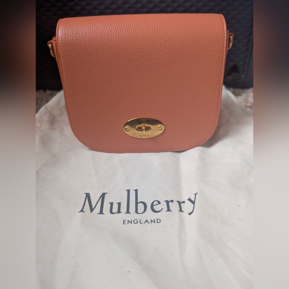 Mulberry Small Darley Satchel In Apricot